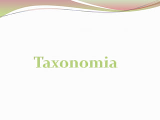 Taxonomia