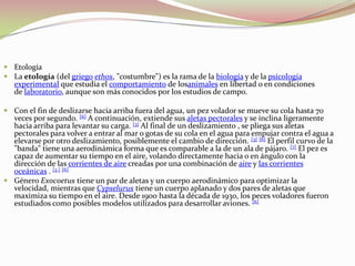 EtologíaLa etología (del griego ethos, "costumbre") es la rama de la biología y de la psicología experimental que estudia el comportamiento de losanimales en libertad o en condiciones de laboratorio, aunque son más conocidos por los estudios de campo.Con el fin de deslizarse hacia arriba fuera del agua, un pez volador se mueve su cola hasta 70 veces por segundo. [6] A continuación, extiende sus aletas pectorales y se inclina ligeramente hacia arriba para levantar su carga. [3] Al final de un deslizamiento , se pliega sus aletas pectorales para volver a entrar al mar o gotas de su cola en el agua para empujar contra el agua a elevarse por otro deslizamiento, posiblemente el cambio de dirección. [3] [6] El perfil curvo de la "banda" tiene una aerodinámica forma que es comparable a la de un ala de pájaro. [7] El pez es capaz de aumentar su tiempo en el aire, volando directamente hacia o en ángulo con la dirección de las corrientes de aire creadas por una combinación de aire y las corrientes oceánicas . [3 ] [6]Género Exocoetus tiene un par de aletas y un cuerpo aerodinámico para optimizar la velocidad, mientras que Cypselurus tiene un cuerpo aplanado y dos pares de aletas que maximiza su tiempo en el aire. Desde 1900 hasta la década de 1930, los peces voladores fueron estudiados como posibles modelos utilizados para desarrollar aviones. [6]