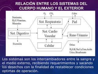 RELACIÓN ENTRE LOS SISTEMAS DEL
CUERPO HUMANO Y EL EXTERIOR
Los sistemas son los intercambiadores entre la sangre y
el medio externo, recibiendo requerimientos y sacando
los desechos con la finalidad de restablecer condiciones
optimas de operación.
 