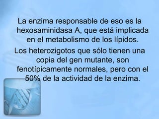 La enzima responsable de eso es la
 hexosaminidasa A, que está implicada
    en el metabolismo de los lípidos.
Los heterozigotos que sólo tienen una
       copia del gen mutante, son
 fenotípicamente normales, pero con el
   50% de la actividad de la enzima.
 
