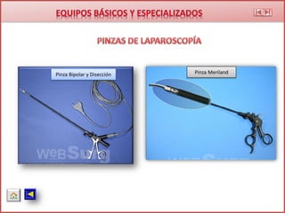 Pinza Bipolar y Disección Pinza Meriland
 