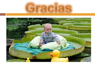 Equipos de protección personal