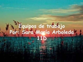 Equipos de trabajo
Por: Sara María Arboleda
           11D
 