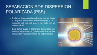 SEPARACION POR DISPERSION
POLARIZADA (PSS)
 Es la luz dispersada lateralmente que se dirige
a ángulos orientados simétricamente a 90°
respecto del haz del láser y se mide con el
detector PSS.
 Esta señal ayuda a diferenciar Leucocitos con
núcleos segmentados (lobularidad alta) de las
células con núcleos simples no segmentados.
 