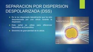 SEPARACION POR DISPERSION
DESPOLARIZADA (DSS)
 Es la luz dispersada lateralmente que ha sido
despolarizada por una célula durante la
dispersión.
 Esta señal se utiliza para diferenciar
Neutrófilos de Eosinófilos.
 Sinónimo de granularidad de la célula.
 