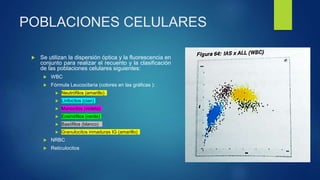 POBLACIONES CELULARES
 Se utilizan la dispersión óptica y la fluorescencia en
conjunto para realizar el recuento y la clasificación
de las poblaciones celulares siguientes:
 WBC
 Fórmula Leucocitaria (colores en las gráficas ):
 Neutrófilos (amarillo)
 Linfocitos (cian)
 Monocitos (violeta)
 Eosinófilos (verde)
 Basófilos (blanco)
 Granulocitos inmaduras IG (amarillo)
 NRBC
 Reticulocitos
 