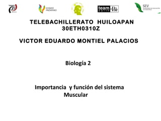 TELEBACHILLERATO  HUILOAPAN 30ETH0310Z  VICTOR EDUARDO MONTIEL PALACIOS  Importancia  y función del sistema  Muscular  Biología 2 