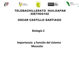 TELEBACHILLERATO  HUILOAPAN 30ETH0310Z  OSCAR CASTILLO SANTIAGO Importancia  y función del sistema  Muscular  Biología 2 