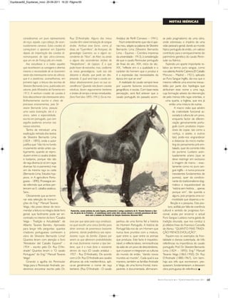 Equitacao92_Equitacao_novo 20-09-2011 16:20 Página 69

NOTAS IBÉRICAS

consideramos um puro representante
da raça, aquele, cuja cabeça, for acentuadamente convexa. Estes cavalos só
começaram a aparecer em Espanha
depois da importação dos cavalos dinamarqueses de tipo ultra-convexo,
que um rei de França pôs em moda.
Aos estudiosos e a todos aqueles
que reconhecem as vantagens e diremos
mesmo a necessidade de se ilustrarem
neste tão interessante ramo da ciência,
que é a zootécnia, aconselhamos, em
primeiro lugar, a leitura dos escritos de
Silvestre Bernardo Lima, publicados em
volume, pelo Ministério do Fomento em
1913. A nenhum criador de cavalos é
lícito desconhecer tão interessante obra.
Brilhantemente escrita e cheia de
preciosos ensinamentos, pois Silvestre Bernardo Lima, possuía
uma vasta ilustração, ela é a
única, sobre a especialidade,
escrita em português, que com
orgulho podemos arrumar nas
nossas estantes.
Tenho de introduzir uma
explicação retirada dos textos
de Silvestre Bernardo Lima
(1824 – 1893), onde o autor
justifica que “não há no fundo
cruzamento senão antes castiçamento, quando se reproduzem entre si cavalos árabes
e lusitanos, porque não são
de raça diversa (e só em raças
diversas há cruzamento) mas
sim da mesma raça ou casta
(Bernardo Lima, Estudos hyppicos, in A agricultura Portugueza – 1890). Prossegue ainda referindo que ambos pertencem ao E. caballus asiaticus.
Sans..
Obviamente que ao terminar esta selecção de transcrições do Eng.º Manuel Tavares
Veiga, não posso deixar de recomendar a leitura na integra deste livro
genial, que facilmente pode ser encontrado no interior do livro "Cavalos
Veiga - Tradição e Actualidade", de
Alberto Tavares Barreto. Aproveito
para lançar três perguntas: quantos
criadores portugueses conhecem a
obra de Silvestre Bernardo Lima?
Quantos leram com atenção o livro
“Alrededor del Caballo Espanol” –
1954 – escrito pelo Dr. Ruy D’Andrade? Quantos leram o “O cavalo
Portuguez” do Eng.º Manuel Tavares
Veiga?
Girando a agulha do Peninsular
Veiga para o Peninsular Andrade, poderemos encontrar escrito pelo Dr.

Ruy D’Andrade: Alguns dos meus
cavalos têm visível introdução de sangue
árabe. Atribuo esse facto, como já
disse, ao “Guerrillero”, de Aranjuez, da
genealogia Guerrero; ou a algum ascendente do “Nice”, de Alter; ou ainda
a alguns dos ascendentes árabes do
“Neapolitano”, de Lippiza. É o que
pode haver de estranho; mas, conforme
as notas genealógicas, tudo isto tão
distante e diluído, que pode ser desprezado. E qual será hoje o cavalo andaluz absolutamente puro na sua ascendência? Quando não foram cavalos
nórdicos, foram seguramente berberes
e árabes de tempo a tempo introduzidos.
(livro Font’alva 1895-1941); Eis os mo-

Andaluz de Perfil Convexo – 1941).
Num entendimento que não é apenas meu, adapto as palavras de Silvestre
Bernardo Lima (Silvestre Bernardo
Lima – Equinos – Coimbra imprensa
da universidade - 1913), à consideração
de que o cavalo Peninsular português
de finais do séc. XIX, início do séc.
XX, “reflecte em si a qualidade e o
carácter do homem que o produz e
é a expressão das necessidades da
época em que se vive”
A realidade do cavalo sempre teve
por suporte factores económicos,
geográficos, e sociais. Com base nesta
percepção, será fácil antever que o
cavalo português do passado acom-

Pastorcito, cavalo andaluz da casta Zapata, pertencente à antiga coudelaria de D. Vicente Romero y Garcia, de Jerez de la Frontera - A semelhança entre estes dois cavalos denota o estreito parentesco do berbere com o andaluz (in Boletim da Estação Zootécnica Nacional 1937)

tivos por que optei pela raça andaluza,
na qual escolhi uma única família para
obter animais de parentesco bastante
próximo, dando preferência aos reprodutores ruços da família Zapata por
serem os que oferecem probabilidades
de mais facilmente manter o tipo berbere, que é o mais forte e resistente
dentro da raça (O cavalo andaluz –
1937 - Ruy D’Andrade). De acordo
com o Dr. Ruy D’Andrade aos cavalos
africanos da orla mediterrânica, aplica-se geralmente o nome de raça
berbere. (Ruy D’Andrade - O cavalo

panhou de uma forma fiel a história
do Homem Português. A história de
Portugal fala-nos de um Homem que
nunca teve pruridos com a mistura,
quer entre si, quer entre os animais
que produzia. Este facto é inquestionável, e reflecte talvez, reminiscências
da visão de um povo de descobridores,
que cruzaram e integraram as culturas
do mundo de então, “dando novos
mundos ao mundo”. Cada qual à sua
maneira, também as famílias Andrade
e Veiga, de uma forma frontal, transparente, e documentada, afirmaram-

se pelo pragmatismo de uma obra,
onde sobressaiu o império de uma
visão pessoal e genial, dando ao mundo
hípico português de então, um valioso
contributo para o enriquecimento do
património genético do cavalo Peninsular ou Ibérico.
Fazendo um aparte importante relativo ao termo puro sangue, como
nos salienta Andrés Cabrera (El Caballo
Moruno – Madrid – 1921), aplicado
ao Puro Sangue Inglês, diz-nos que o
mesmo reflecte uma enorme inexactidão por parte dos hipólogos que
atribuíram esse nome a uma raça,
cuja formação adveio da intervenção
de pelo menos três raças orientais, e
uma quarta, a Inglesa, que era já
então uma mistura de outras.
A macro visão que advém
da criatividade funcional associada à cultura de um povo,
enquanto factor de diferenciação genuinamente português (com produtos impossíveis de copiar, tais como a
cortiça, o azeite, e outros
tais) pode-nos engrandecer
e distanciar do micro marketing do pensamento pré-embalado, quer do corrente mito
do purismo Lusitano acentuadamente ariano (que se
deve restringir em exclusivo
à imagem de marca – exactamente como no puro sangue inglês – e nunca procurar
inexistentes fundamentos de
pureza), quer da condicionante do tradicionalismo dogmático e inquestionável da
“estória sem história… apenas
porque sim”, tão querida a
alguns, pois projecta uma comodidade que dispensa a reflecção e a pesquisa. Esta postura, acéfala por falta de coerência
cultural e sentido de progresso funcional, acaba por encerrar o actual
Puro Sangue Lusitano numa gaiola de
tradição dourada, que nos conduz à
já célebre frase do Francisco Cancella
de Abreu: “QUANTO MAIS TRADIÇÃO MENOS EVOLUÇÃO”.
Fiquem-nos os exemplos da frontalidade e clareza sustentada, de três
referências na importância do cavalo
português: Prof. Dr. Silvestre Bernardo
Lima (1824 – 1893); Eng.º Manuel
Tavares Veiga (1863-1950); Dr. Ruy
D’Andrade (1880-1967). Um bemhaja aos três que escreveram, pesquisaram, fundamentaram, e deixaram
obra portuguesa de referência! n

R EVISTA E QUITAÇÃO

G

N.º

92

G

S ETEMBRO /O UTUBRO 2011

68

 