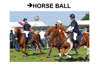HORSE BALL 
 