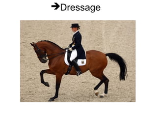 Dressage 
 