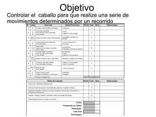 Objetivo 
Controlar el caballo para que realize una serie de 
movimientos determinados por un recorrido 
 