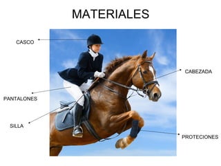 MATERIALES 
PANTALONES 
SILLA 
CABEZADA 
PROTECIONES 
CASCO 
 