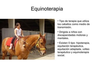 Equinoterapia 
• Tipo de terapia que utiliza 
los caballos como medio de 
transmisión. 
• Dirigida a niños con 
discapacidades motoras y 
mentales. 
• Existen 5 tipo: hipoterapia, 
equitación terapéutica, 
equitación adaptada, volteo 
terapéutico y equinoterapia 
social. 
