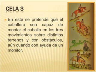 CELA 3 
 En este se pretende que el 
caballero sea capaz de 
montar el caballo en los tres 
movimientos sobre distintos 
terrenos y con obstáculos, 
aún cuando con ayuda de un 
monitor. 
 