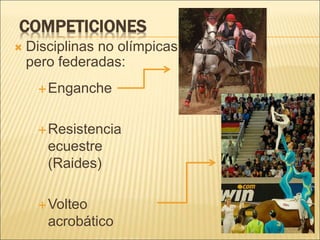 COMPETICIONES 
 Disciplinas no olímpicas 
pero federadas: 
Enganche 
Resistencia 
ecuestre 
(Raides) 
Volteo 
acrobático 
 