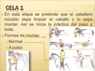 CELA 1 
 En esta etapa se pretende que el caballero 
iniciado sepa limpiar el caballo y lo sepa 
montar. Así se inicia la práctica del paso y 
trote. 
 Formas de montar: 
Normal 
A pulso 
Con ayuda 
 