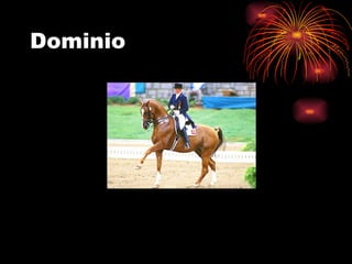 Dominio 