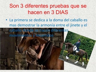 Son 3 diferentes pruebas que se 
hacen en 3 DIAS 
• La primera se dedica a la doma del caballo es 
mas demostrar la armonía entre el jinete y el 
caballo donde se hacen diferentes 
movimientos y recorridos 
 