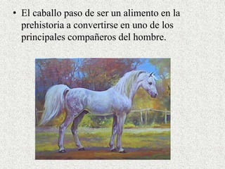 • El caballo paso de ser un alimento en la 
prehistoria a convertirse en uno de los 
principales compañeros del hombre. 
 