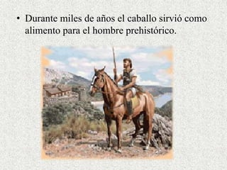 • Durante miles de años el caballo sirvió como 
alimento para el hombre prehistórico. 
 
