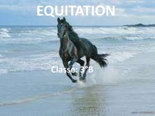 EQUITATION
Classe: 3°B
 
