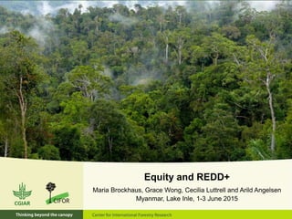 Equity and REDD+
Maria Brockhaus, Grace Wong, Cecilia Luttrell and Arild Angelsen
Myanmar, Lake Inle, 1-3 June 2015
 