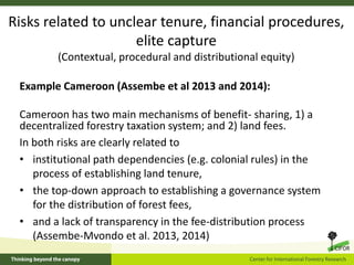 Equity and REDD+: Perspectives from CIFOR’s global comparative study