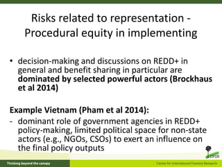 Equity and REDD+: Perspectives from CIFOR’s global comparative study