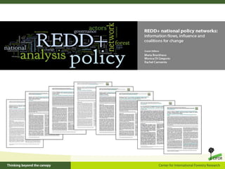 Equity and REDD+: Perspectives from CIFOR’s global comparative study