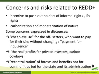 Equity and REDD+: Perspectives from CIFOR’s global comparative study