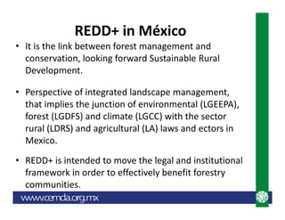 REDD+ in México
• It is the link between forest management and
conservation, looking forward Sustainable Rural
Development...
