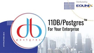 11DB/Postgres™
For Your Enterprise
Distributed by:
 