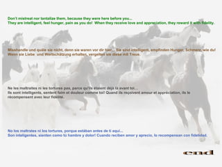 Don’t mistreat nor tantalize them, because they were here before you...
They are intelligent, feel hunger, pain as you do! When they receive love and appreciation, they reward it with fidelity.




Misshandle und quäle sie nicht, denn sie waren vor dir hier... Sie sind intelligent, empfinden Hunger, Schmerz, wie du!
Wenn sie Liebe und Wertschätzung erhalten, vergelten sie diese mit Treue.




Ne les maltraites ni les tortures pas, parce qu'ils étaient déjà là avant toi…
Ils sont intelligents, sentent faim et douleur comme toi! Quand ils reçoivent amour et appréciation, ils le
récompensent avec leur fidélité.




No los maltrates ni los tortures, porque estában antes de tí aquí...
Son inteligentes, sienten como tú hambre y dolor! Cuando reciben amor y aprecio, lo recompensan con fidelidad.
 