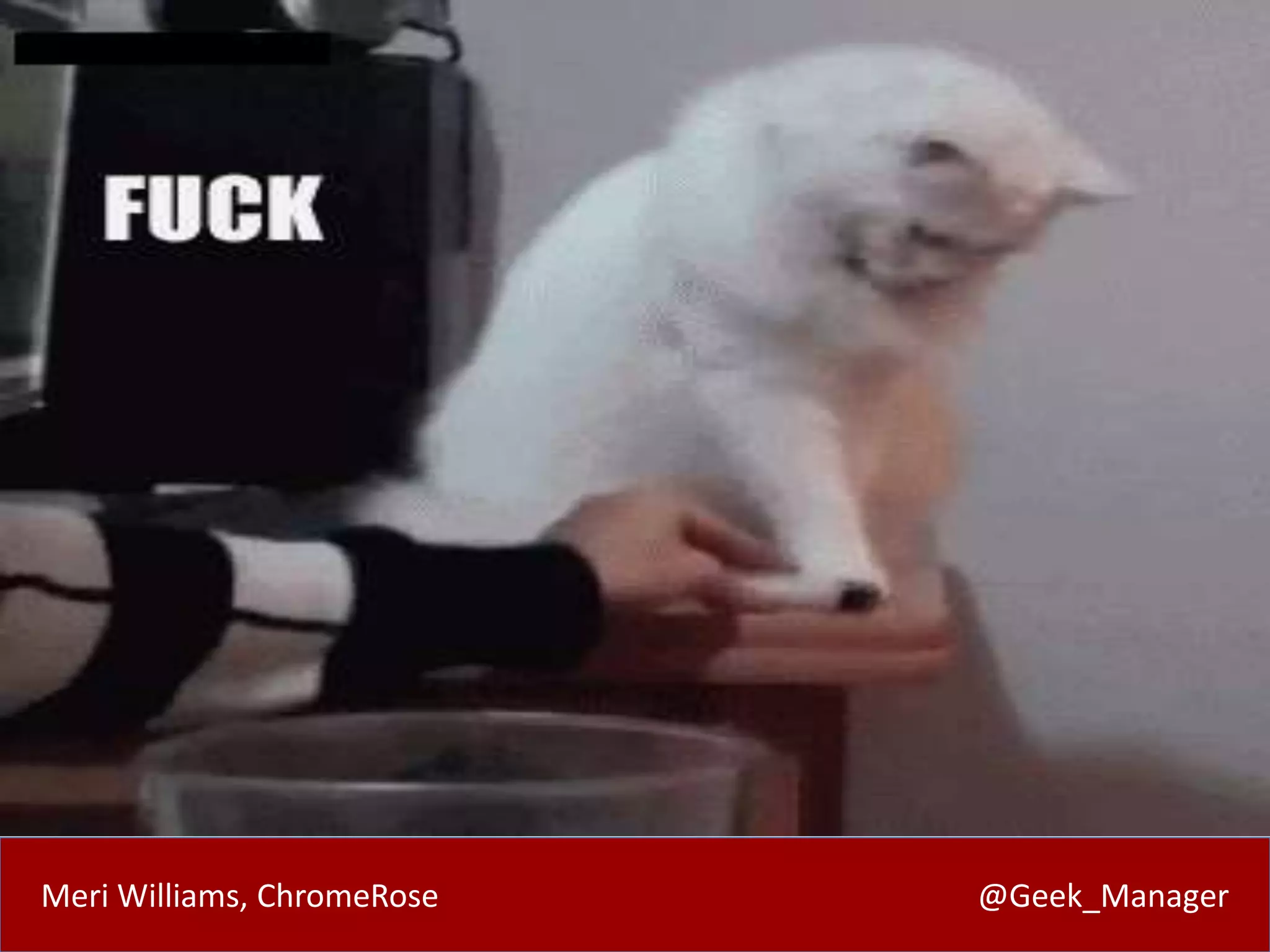 Meri Williams, ChromeRose @Geek_Manager 
 