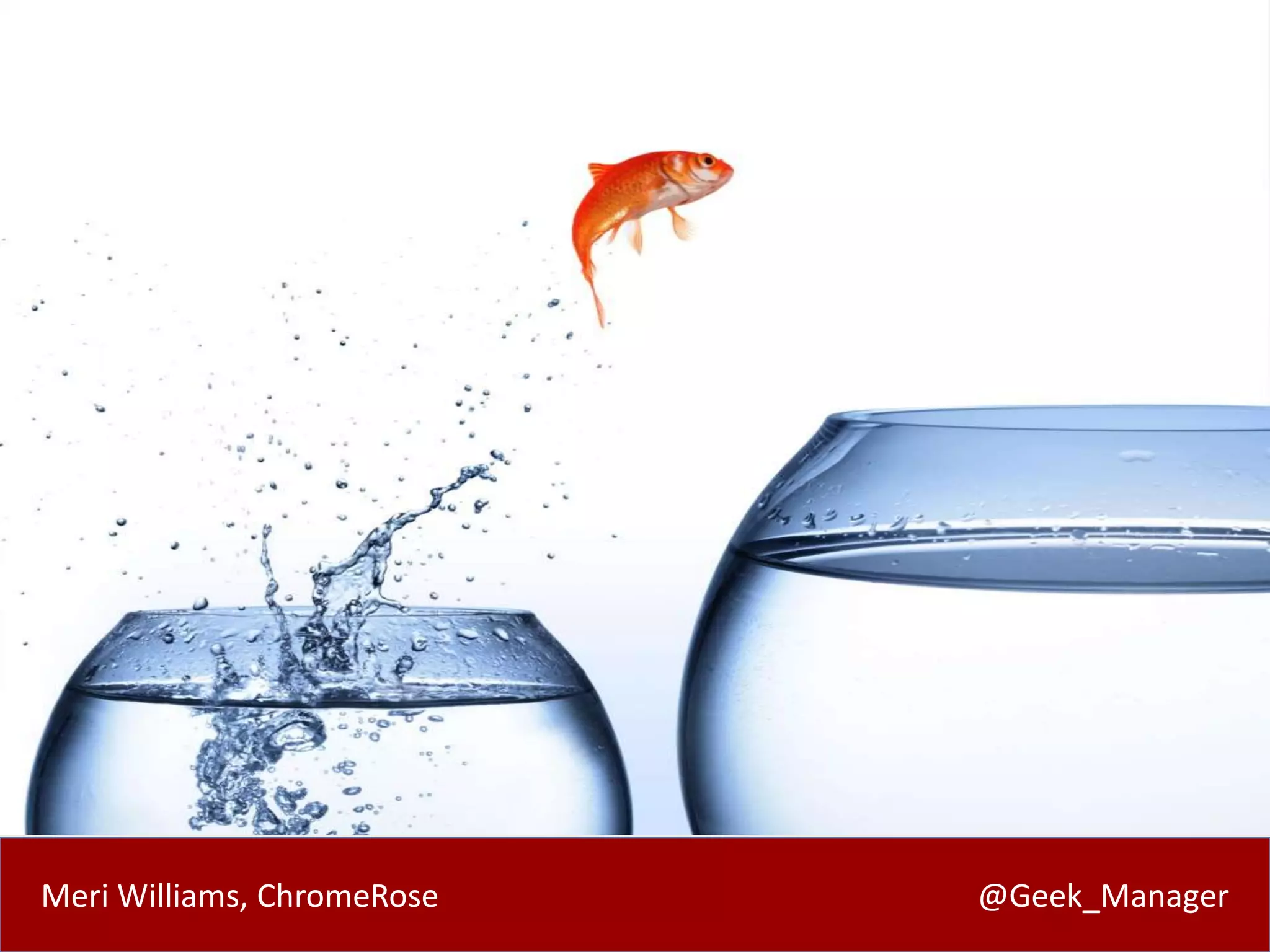 Meri Williams, ChromeRose @Geek_Manager 
 
