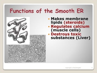 ENDOPLASMIC RETICULUM | PPTX