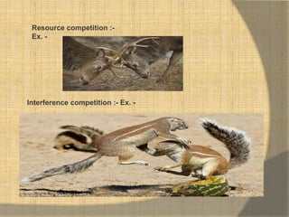 Resource competition :-
Ex. -
Interference competition :- Ex. -
 