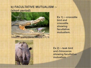 b) FACULTATIVE MUTUALISM :-
(short period)
Ex 1) :- crocodile
bird and
crocodile
showing
facultative
mutualism.
Ex 2) :- t...