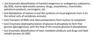 • .(xi) Enzymatic detoxification of harmful exogenous or endogenous substances
(by SER), mainly lipid-soluble poisons, drugs, anaesthetics, insecticides,
petroleum products, carcinogens, etc.
• (xii) Metabolism of vitamin A and the synthesis of visual pigments from it (in
the retinal cells of vertebrate animals).
• (xiii) Transport of RNAs and ribonucleoproteins from nucleus to cytoplasm.
• (xiv) Enzymatic dephosphorylation of glucose-6 phosphate to form free
glucose (glucogenesis), with the help of the enzyme glucose-6 phosphatase.
• (xv) Enzymatic detoxification of toxic metabolic products and drugs and lipid-
soluble poisons (in SER).
 