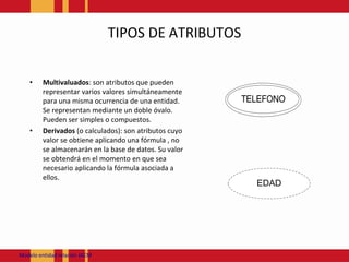 TIPOS DE ATRIBUTOSMultivaluados: son atributos que pueden representar varios valores simultáneamente para una misma ocurrencia de una entidad. Se representan mediante un doble óvalo. Pueden ser simples o compuestos. Derivados (o calculados): son atributos cuyo valor se obtiene aplicando una fórmula , no se almacenarán en la base de datos. Su valor se obtendrá en el momento en que sea necesario aplicando la fórmula asociada a ellos.Modeloentidadrelación JACM