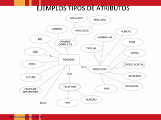EJEMPLOS TIPOS DE ATRIBUTOSModeloentidadrelación JACM