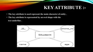 KEY ATTRIBUTE :-
• The key attribute is used represent the main character of entity .
• The key attribute is represented by an ovel shape with the
text underline .
 