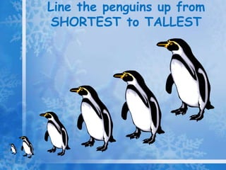 Line the penguins up from
SHORTEST to TALLEST