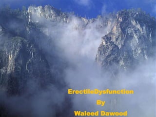 ErectileDysfunction
By
Waleed Dawood
 