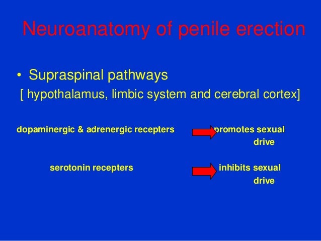 Erectile dysfunction