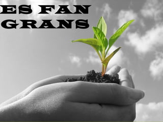 ES FAN
GRANS
 