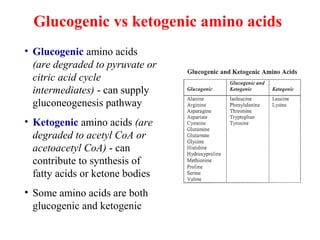 Biochemistry Amino Acid Oxidation