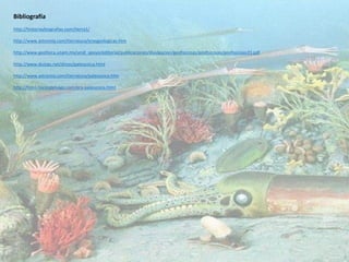 Bibliografía
http://historiaybiografias.com/tierra1/
http://www.astromia.com/tierraluna/erasgeologicas.htm
http://www.geofisica.unam.mx/unid_apoyo/editorial/publicaciones/divulgacion/geofisicosas/geofisicosas/geofisicosas33.pdf
http://www.duiops.net/dinos/paleozoica.html
http://www.astromia.com/tierraluna/paleozoico.htm
http://html.rincondelvago.com/era-paleozoica.html
 