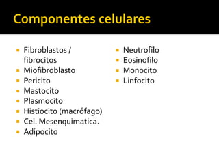    Fibroblastos /              Neutrofilo
    fibrocitos                  Eosinofilo
   Miofibroblasto              Monocito
   Pericito                    Linfocito
   Mastocito
   Plasmocito
   Histiocito (macrófago)
   Cel. Mesenquimatica.
   Adipocito
 